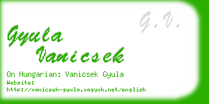 gyula vanicsek business card